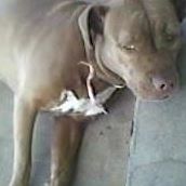 Terri Sprouse Photo 9