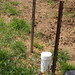 Carroll Miller Photo 36