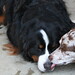 Cassie Shepard Photo 18
