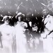 Bernice Brown Photo 17