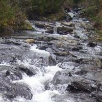 Connie Witherspoon Photo 6