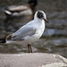 Dale Kirby Photo 24