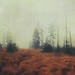 Dirk Moody Photo 10