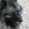 Marcia Rogers Photo 14