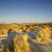Joshua Sand Photo 19