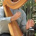 Victoria Harp Photo 15