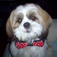 Janet Overman Photo 5