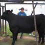 Brian Sommers Photo 20