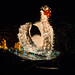 David Matlock Photo 35