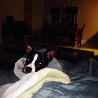 Nicole Allred Photo 25