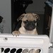 Leroy Gates Photo 16