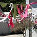 Elizabeth Baskin Photo 22