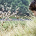 Heather Teems Photo 9