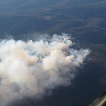 Debra Maier Photo 6