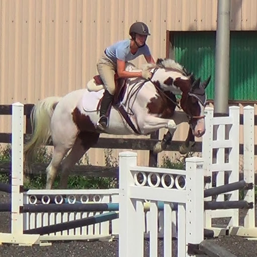 Allison Schulte Photo 22