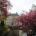 Benjamin Paar Photo 7