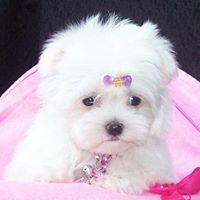 Matilde Melendez Photo 6