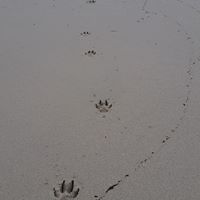 Janice Power Photo 6