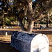 Martha Swain Photo 12