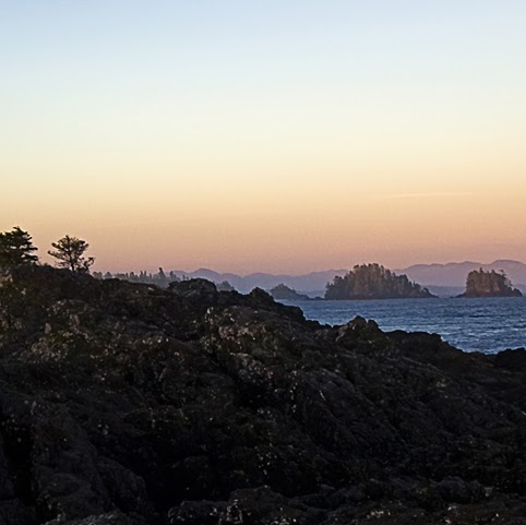 David Sachs Photo 54