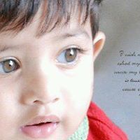 Alam Syed Photo 19