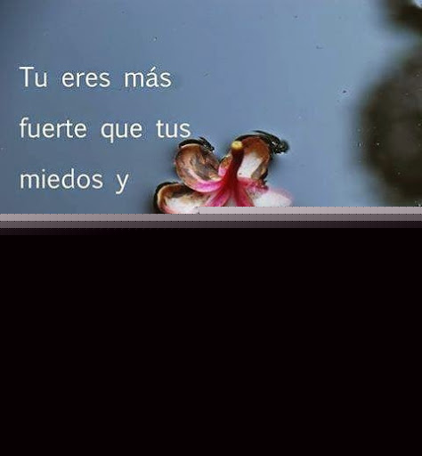 Arlin Abreu Photo 4