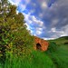 John Blair Photo 50