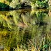 Angela Pond Photo 15