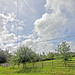 Verna Rowley Photo 3
