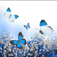 April Sparks Photo 40