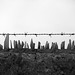 David Rotta Photo 10