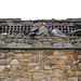 Andrew Mills Photo 16
