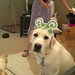 Sharon Latham Photo 27