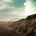 Summer Beach Photo 14