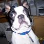 Tim Robison Photo 33