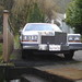 Anthony Potts Photo 19