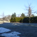 Shelly Hall Photo 12