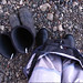 Nicholas Simms Photo 19
