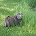 Jenny Tuttle Photo 7