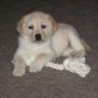 Susan Harter Photo 26