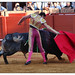 Jose Leal Photo 35