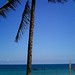 Mui Ho Photo 27