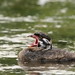 Bill Leech Photo 16