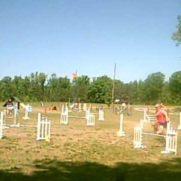 Stacy Reeves Photo 26