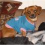 Linda Fowler Photo 16