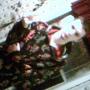 David Eaves Photo 13