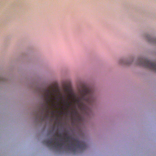 Jill Moon Photo 10