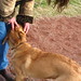 Nancy Buckley Photo 12