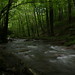 Jonathan Pyles Photo 13