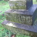 Ronald Cox Photo 17